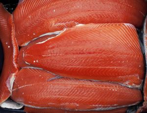 Les États-Unis viennent d'autoriser le saumon OGM