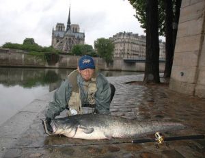 On peut faire de très bonnes pêches à Paris, dans la Seine