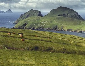 L'île de Skellig Island a vu sa popularité bondir soudainement grâce à Star Wars VII...