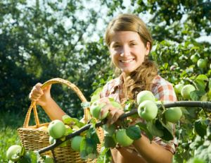 Soigner les arbres fruitiers