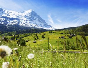 La Suisse serait le pays dont les habitants sont les plus heureux du monde - iStockPhoto