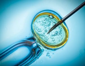 Tout savoir sur le don d'ovocyte et de spermatozoïdes / iStock.com-nevodka