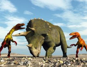 Rencontre un tricératops et deux tyrannosaures