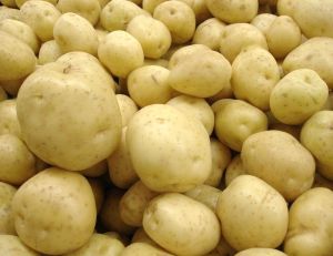 Connaître les variétés de pommes de terre