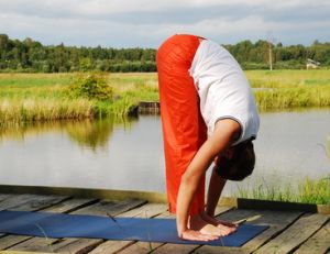 Les rudiments des cours de yoga