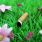 Cigarette : et si à chaque mégot jeté par terre une plante poussait ? / iStock.com - HansChris