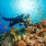 Cool news : le retour de la vie marine sur les côtes méditerranéennes / iStock.com - ultramarinfoto