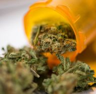 Bientôt des médicaments à base de cannabis dans nos rayons ? / iStock.com - FatCamera