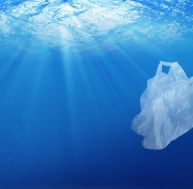 Bientôt plus de plastique que de poissons dans les océans ? / iStock.com - Memorystockphoto
