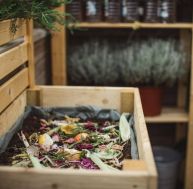 Biodéchets, copeaux et lombrics : le guide pour démarrer son compost