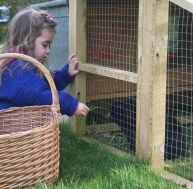 Fabriquer une cage pour son lapin