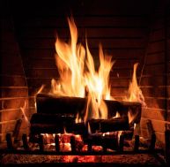 Cendre de bois de cheminée : comment la recycler pour le jardin ou le ménage  ? / iStock.com-Rawf8