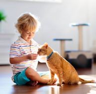 Chiens, chats : les bienfaits d'un animal de compagnie sur vos enfants / iStock.com - FamVeld