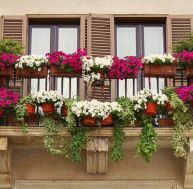 Comment faire de votre balcon un espace vert ? / iStock;com - SIAATH