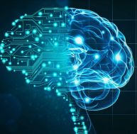 Comment l’intelligence artificielle révolutionne-t-elle nos vies ? / iStock.com - kishore kumar
