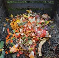 DIY : comment fabriquer son propre compost ?