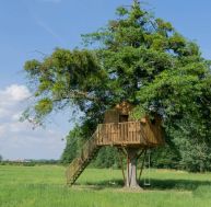Construire une cabane dans un arbre
