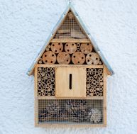 Créez votre propre hôtel à insectes : un refuge pour la biodiversité dans votre jardin