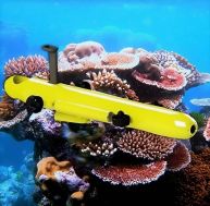 Des micro-robots sauveurs de récifs coralliens : l’innovation au service de l’environnement