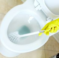Désinfecter ses toilettes sans utiliser d'eau de javel