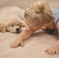 Les chiens bonifieraient la santé des enfants