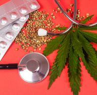 Emploi : le cannabis thérapeutique ouvre de nouveaux débouchés / iStock.com - morisfoto
