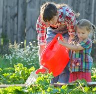 Été : comment initier son enfant au jardinage ? / iStock.com - Nkarol