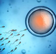 Fertilité : et si on testait la qualité du sperme grâce à son smartphone ? / iStock.com - koya79