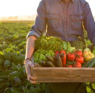 Jardiniers amateurs : les 10 légumes que vous ne pourrez pas rater ! / iStock.com-alle12