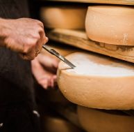 Job de rêve : devenir testeur de fromages / Istock.com - DjelicS