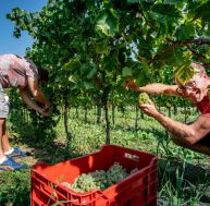 Jobs d'été : formalités, âge, rémunération, condition de travail...