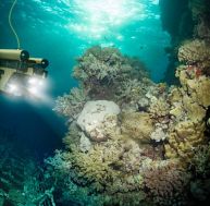 Journée mondiale de l'océan : 3 choses à savoir pour mieux le protéger / iStock.com - S_Bachstroem