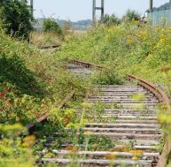 La SNCF confirme l’arrêt du glyphosate pour le désherbage des voies / iStock.com - sandyriverman