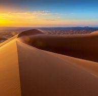 Le désert, ce lieu verdoyant où il fait bon vivre / iStock.com - Pavliha