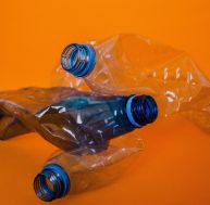 Le mouvement zéro déchet : comment adopter une vie sans plastique ?