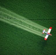 Les pesticides seraient 1 000 fois plus toxiques qu'on ne le redoutait / iStock.com - Pablo_K