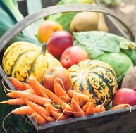 Manger de saison en 2017 : les aliments à privilégier en octobre / iStock.com - Brzozowska