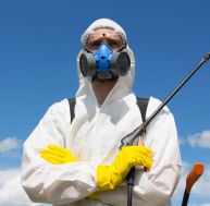 Pollution aux pesticides : qu'est-ce que le chlordécone ? / iStock.com - hedgehog94