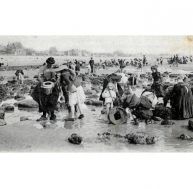 Pêche à pied des crabes au Havre, début du XX ème siècle