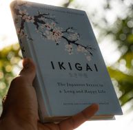 Trouver son Ikigai : découvrez votre passion pour une vie épanouissante
