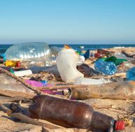 Une étape majeure contre la pollution plastique franchie pour la Terre ? / iStock.com - Larina Marina