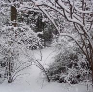 Jardin sous la neige