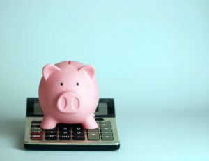 5 conseils pour maîtriser votre budget / Istock.com - serdjophoto