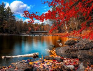 Un paysage d'automne