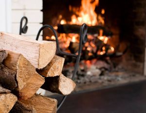 Bien choisir son bois de cheminée pour un meilleur chauffage dans toute la maison / iStock.com - Image Source