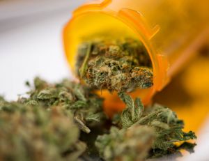 Bientôt des médicaments à base de cannabis dans nos rayons ? / iStock.com - FatCamera