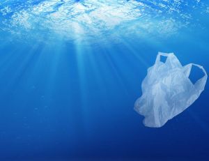 Bientôt plus de plastique que de poissons dans les océans ? / iStock.com - Memorystockphoto