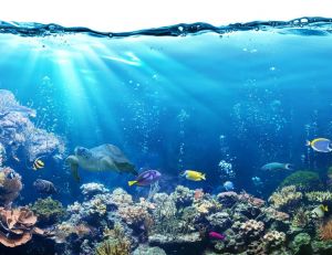 Bilan de l'UNESCO sur la protection du patrimoine subaquatique / iStock.com - RomoloTavani