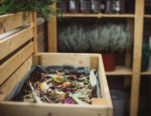 Biodéchets, copeaux et lombrics : le guide pour démarrer son compost