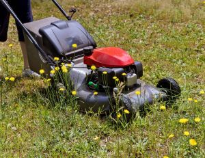 Canicule et jardin : quand et comment tondre sa pelouse l'été ? / iStock.com - photovs